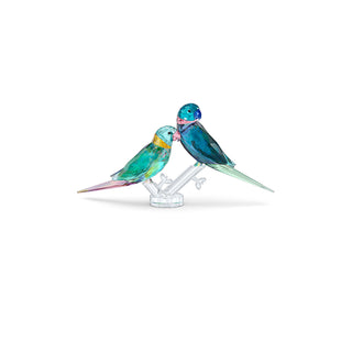 Swarovski Jungle Beats Parakeet Couple