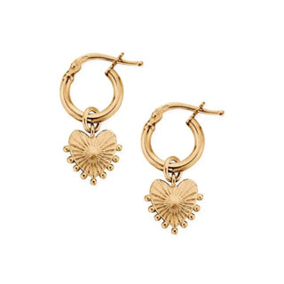 Chlobo Yellow Gold Plated Glowing Beauty Hoop Earrings