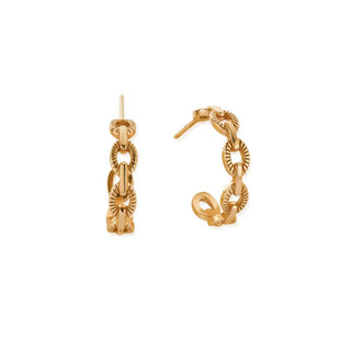 Chlobo Yellow Gold Plated Chain Hoop Earrings