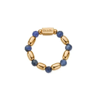 Chlobo Yellow Gold Plated Mini Rice Sodalite Ring - Size Medium