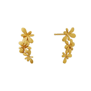 Alex Monroe Gold Plate Sprouting Rosette Drop Stud Earrings