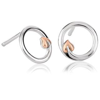 Clogau Tree Of Life Circle Stud Earrings